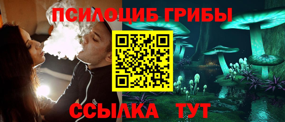Псилоцибиновые грибы MAGIC MUSHROOMS Ртищево